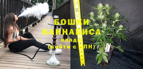 стафф Осташков
