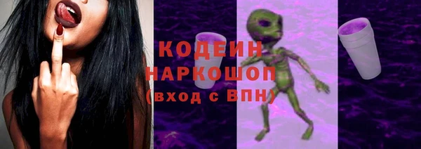 гашик Осинники
