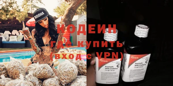 гашик Осинники
