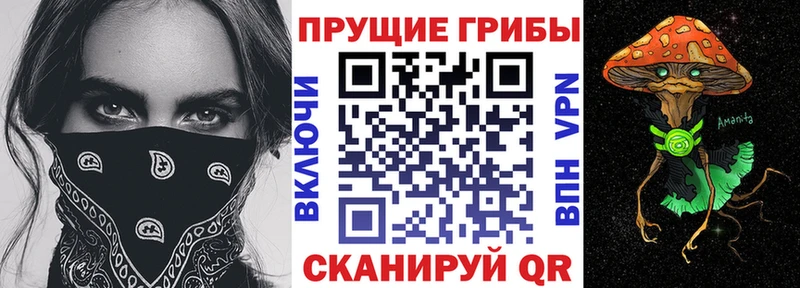 Псилоцибиновые грибы мицелий  Скопин 